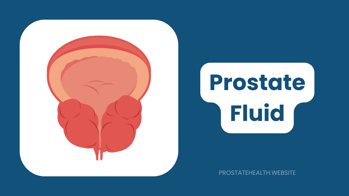 Prostate Fluid Explained: Composition, Function & Importance