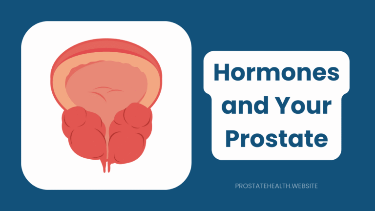 Hormones and Your Prostate: The Lifelong Relationship