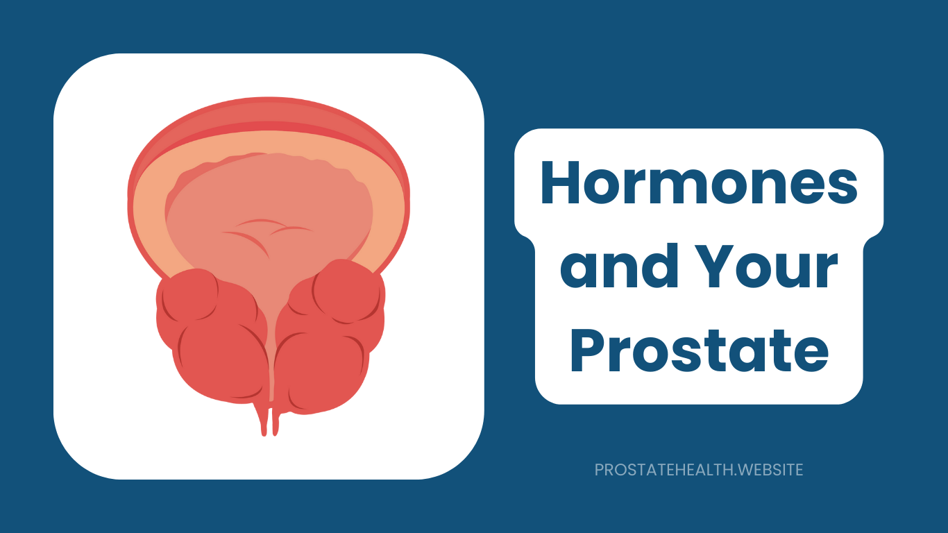 Hormones and Your Prostate: The Lifelong Relationship