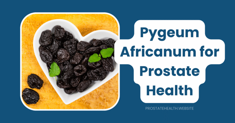 Pygeum Africanum (Prunus africana) for prostate health