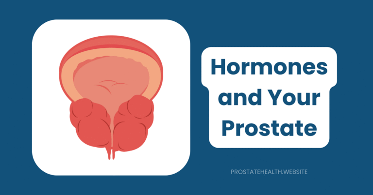 hormones and prostate