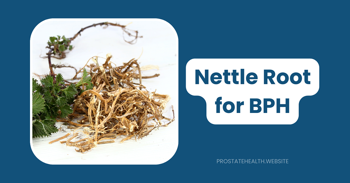 nettle root for prostate health and BPH
