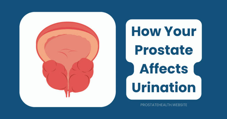 prostate affects urination