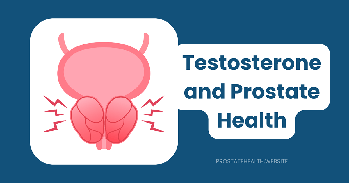 testosterone and prostate health